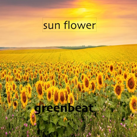 sun flower | Boomplay Music