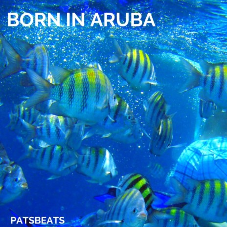 Born In Aruba | Boomplay Music