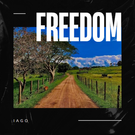 Freedom | Boomplay Music