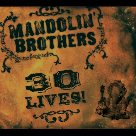 Almost Cut My Hair (Live) - Mandolin' Brothers MP3 download | Almost Cut My  Hair (Live) - Mandolin' Brothers Lyrics | Boomplay Music