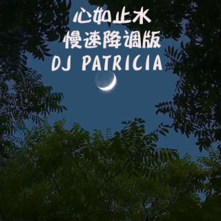 心如止水-慢速降调版DJ PATRICIA