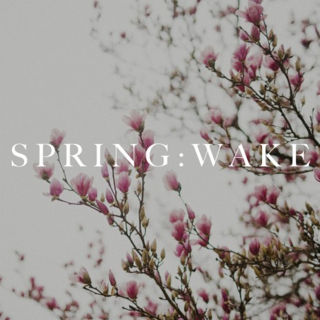 Spring: Wake