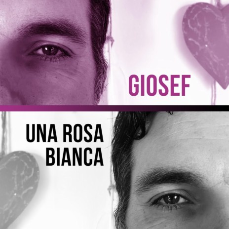 UNA ROSA BIANCA | Boomplay Music