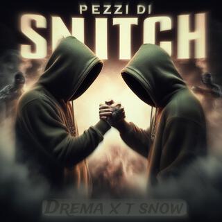 Pezzi di snitch