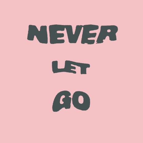 Never Let Go (Lofi) | Boomplay Music