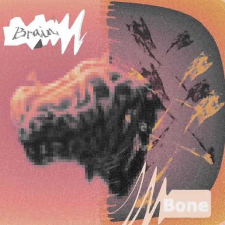 Brain & Bone