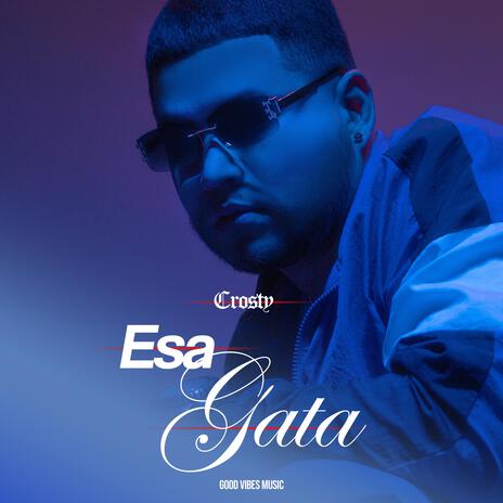 Esa Gata | Boomplay Music