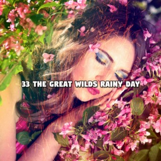 33 The Great Wilds Rainy Day