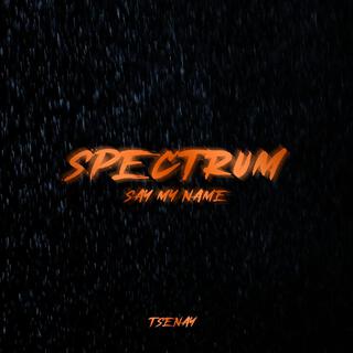 Spectrum (Say My Name) [Hardstyle]