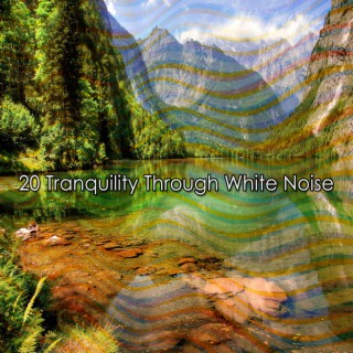 20 Tranquility Through White Noise