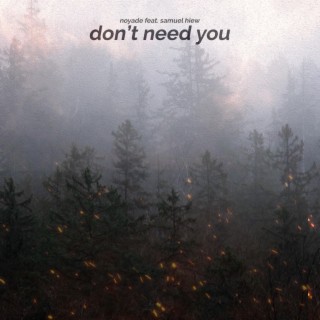 Don't Need You (feat. Samuel Hiew)