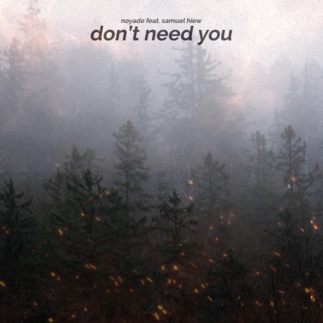 Don't Need You (feat. Samuel Hiew) | Boomplay Music