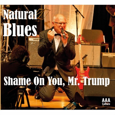 Shame On You, Mr. Trump ((Radio Version)) | Boomplay Music