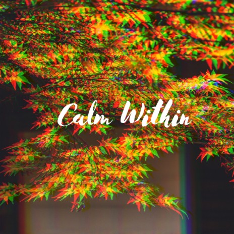 Calm Within | Boomplay Music