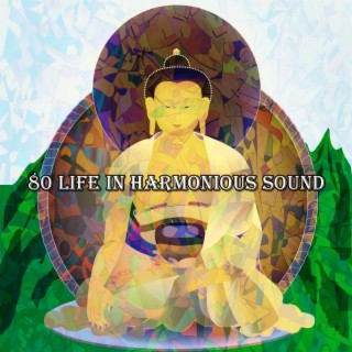 80 Life In Harmonious Sound
