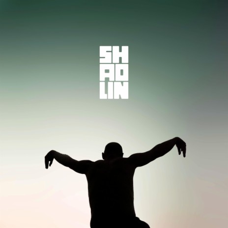 SHAOLIN | Boomplay Music