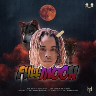 Full Moon (feat. barmyboypapi)