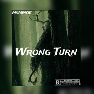 Wrong turn