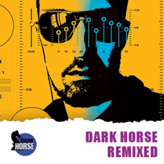 Dark Horse Remixed