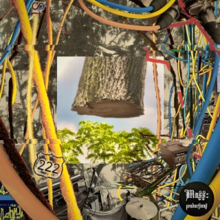 Circuit Tree lyrics | Boomplay Music