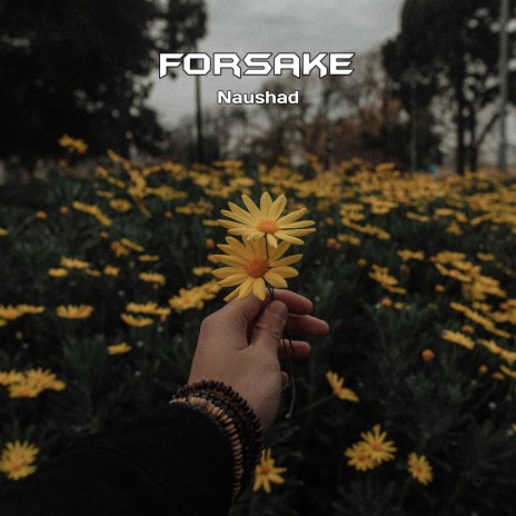 Forsake | Boomplay Music