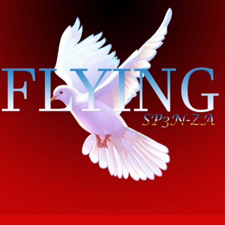 flying (Radio Edit) | Boomplay Music