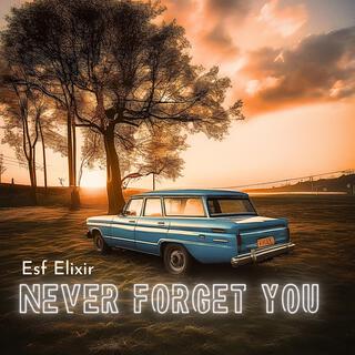 Never Forget You (Instrumental)