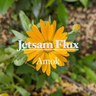 Jetsam Flux