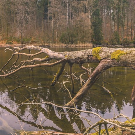 Grandfather Lake