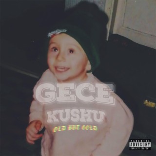 GECEKUSHU