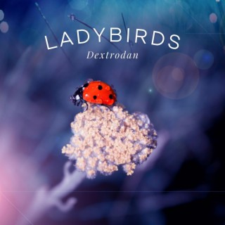 Ladybirds