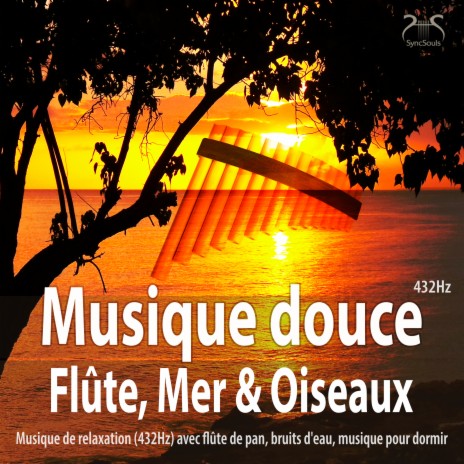 Musique calme à la flûte avec bruits d'eau, bruits de mer pour rêver et se détendre ft. Torsten Abrolat & SyncSouls | Boomplay Music