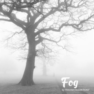 Fog