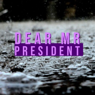 Dear Mr. President