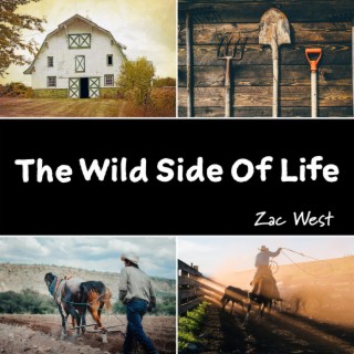 The Wild Side of Life