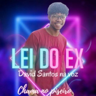 Lei do ex