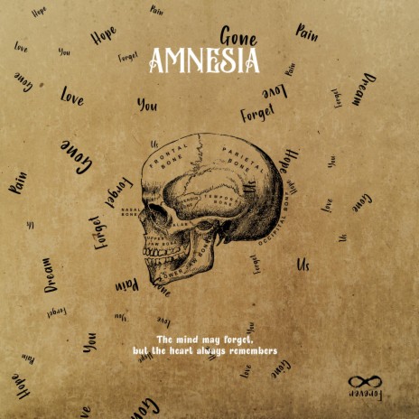 Amnesia | Boomplay Music