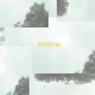 Verbena