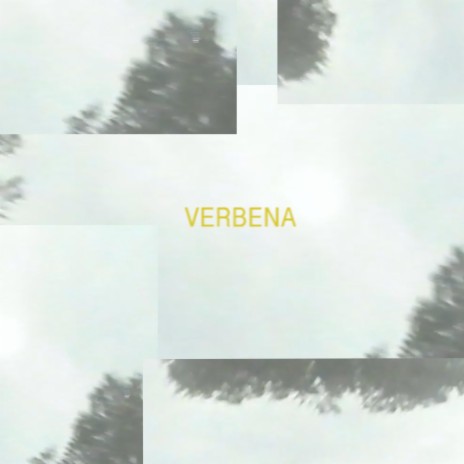 Verbena | Boomplay Music