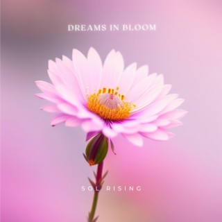 Dreams in Bloom