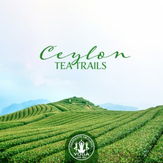 Ceylon Tea Trails: Scenic Train Ride to Ella, Sounds of Ceylon Tea Plantations, Sri Lanka Yoga Retreat, The Pearl of Indian Ocean