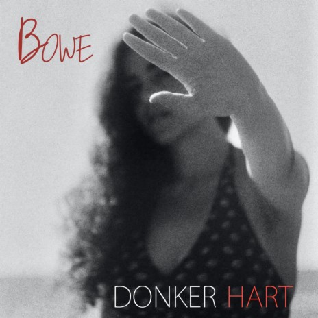 Donker Hart | Boomplay Music