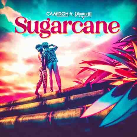 Sugarcane | Boomplay Music