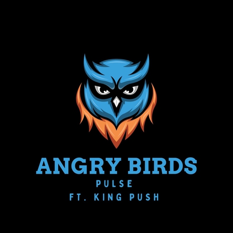 Angry Birds (feat. King Push) | Boomplay Music