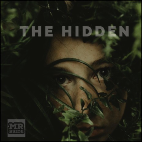The Hidden | Boomplay Music