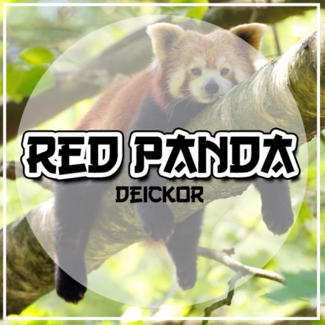 Red Panda | Boomplay Music