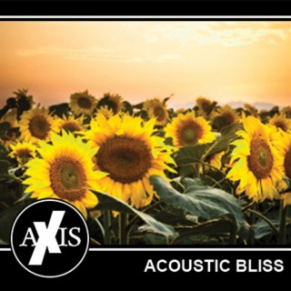 Acoustic Bliss