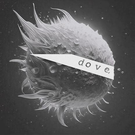 Dove | Boomplay Music