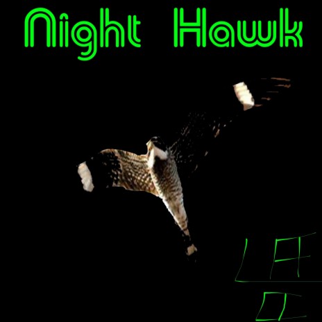 Night Hawk