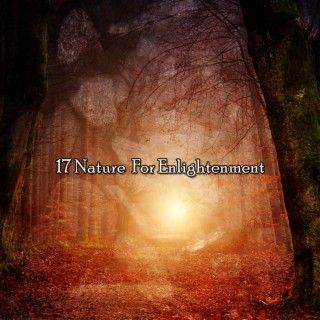 17 Nature For Enlightenment